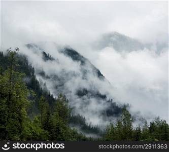 Mist Covering The Pine Trees On The Mountains