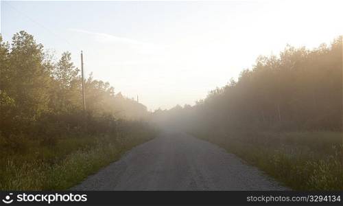 Mist hovering over a dirt road in Lake of the Woods, Ontario