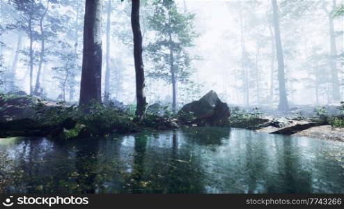 Mist on pond in forest with fog