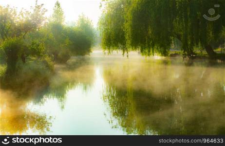 Mist on the river in the marshes of Bourges city, Centre-Val de Loire, France. Mist on the river in the marshes of Bourges city