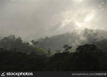 Mist over forest in Costa Rica