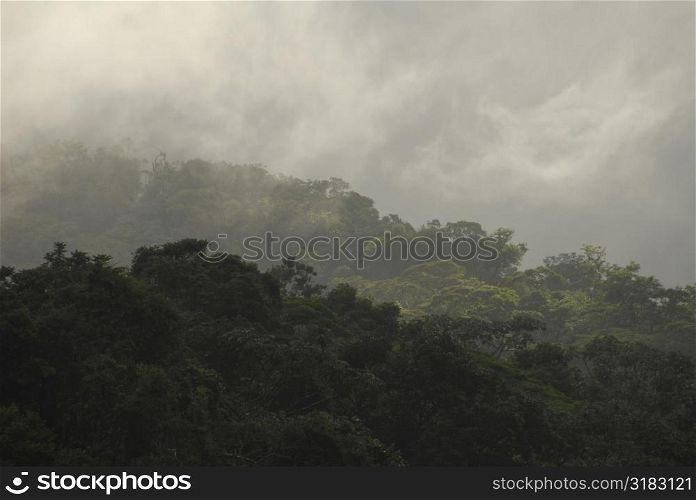 Mist over forest in Costa Rica
