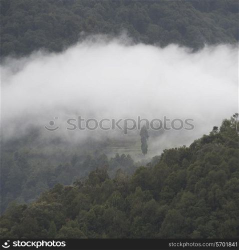 Mist over landscape in Bhutan, Trongsa District