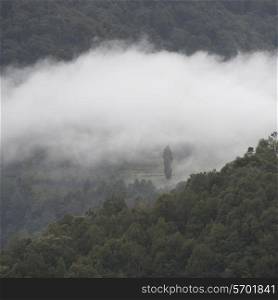 Mist over landscape in Bhutan, Trongsa District