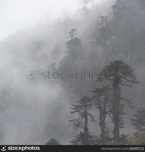 Mist overTrongsa District, Bhutan