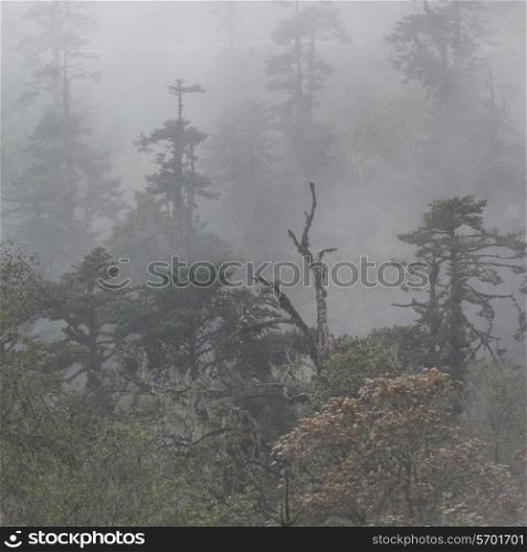 Mist overTrongsa District, Bhutan