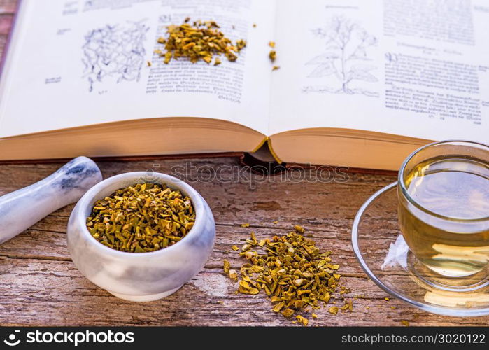 mistletoe, medicinal herb dried, with mortar and medieval text book