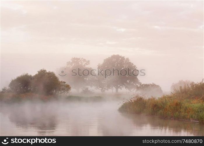 Misty autumn morning on a river. Lone oak trees on a green meadow. Dramatic colorful scenery. Dawn on a riverbank.