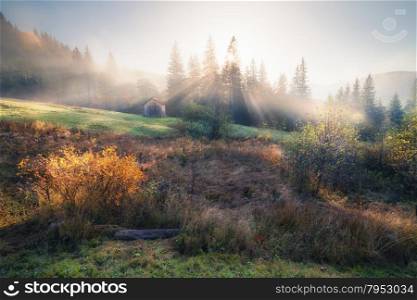 Misty autumn morning on the mountain hills