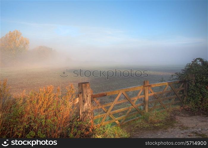 Misty countryside scene with 5-bar gate, Mickleton, Gloucestershire, England.