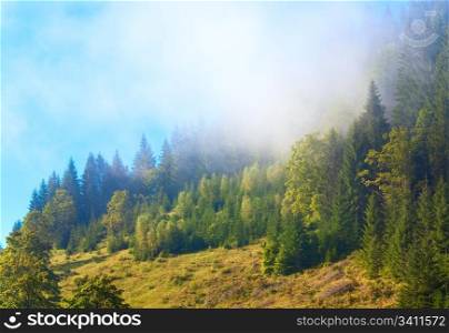 Misty daybreak in summer Carpathian mountain, Ukraine (with ascending mist clouds).