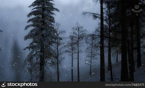 Misty fog in pine forest on mountain slopes
