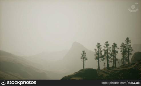 Misty forest on the mountain slope