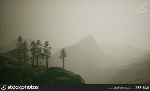 Misty forest on the mountain slope