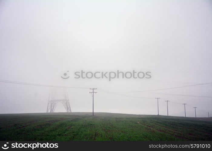 misty landscape