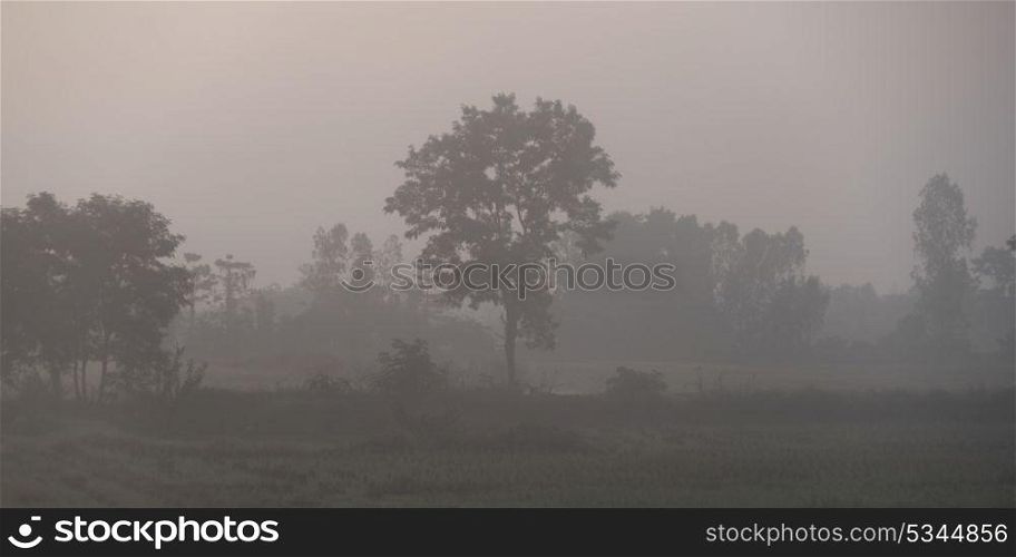 Misty landscape in early morning, Chiang Rai, Thailand