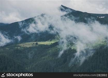 Misty landscape of mountain and forest. Summer foggy and cloudy morning. Smoky mountains park, USA. Misty landscape of mountain and forest. Summer foggy and cloudy morning