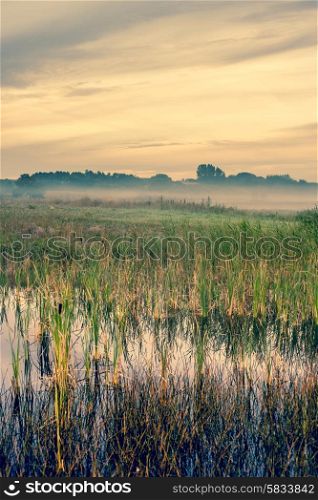 Misty landscape with a quiet lake and green fields