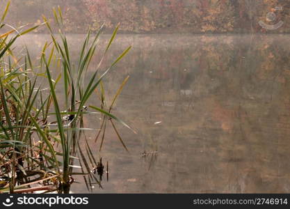 Misty morning on autumn lake