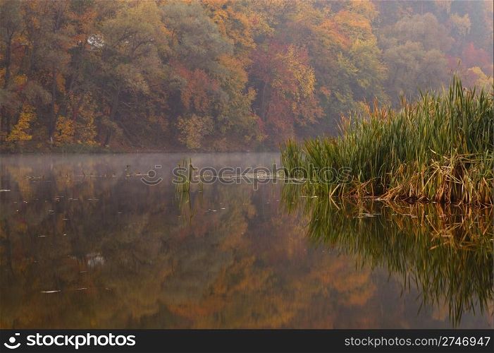 Misty morning on autumn lake