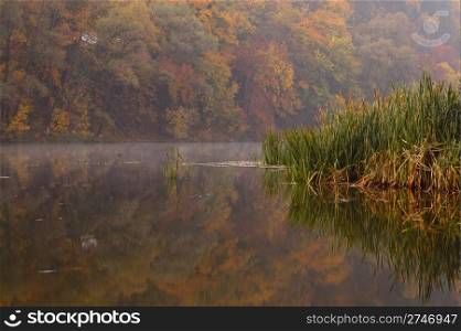 Misty morning on autumn lake