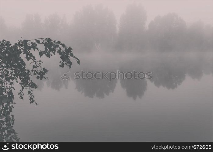 Misty morning on river. Trees on lake. Mysterious fishing pond