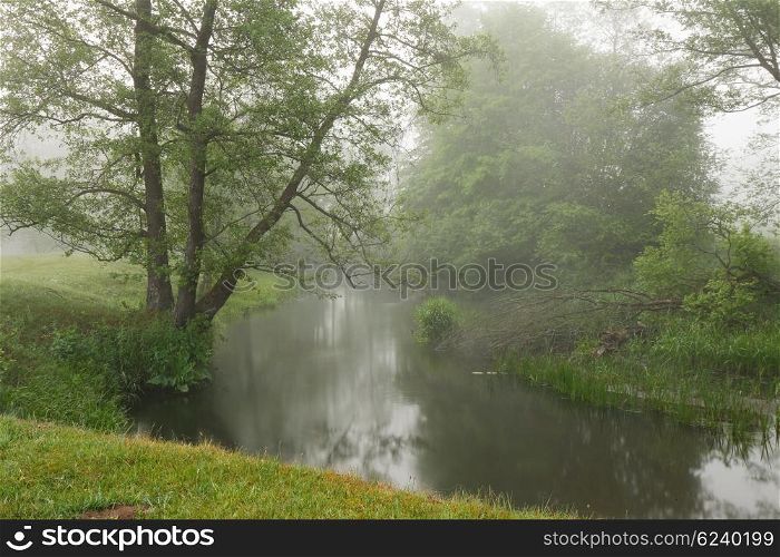 Misty morning on the small river. Spring in Belarus