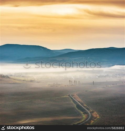 Misty road through fields against sunset
