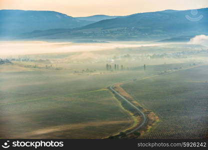 Misty road through fields against sunset