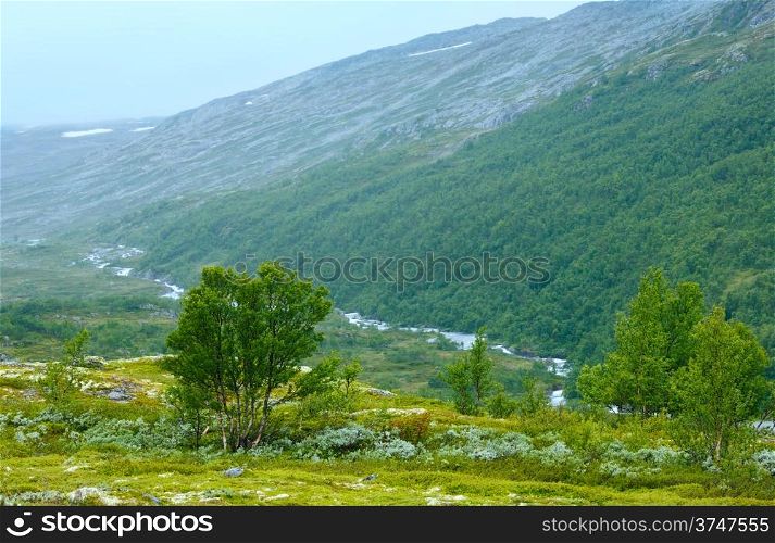 Misty summer mountain landscape with river (Norway, Aurlandsfjellet).