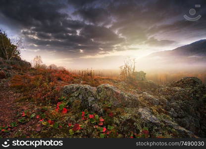 Misty sunrise in Altai mountains nature reserve. The beginning of autumn, September. Misty sunrise in Altai mountains nature reserve