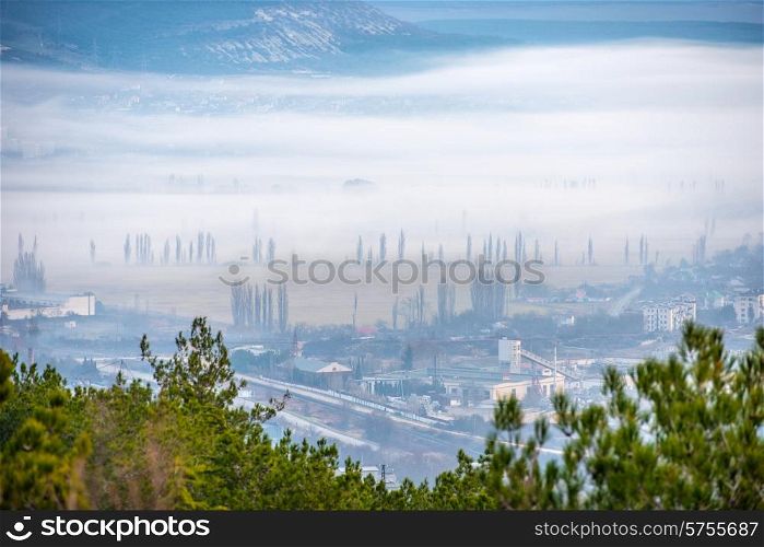 Misty town with trees and buildings against sunset