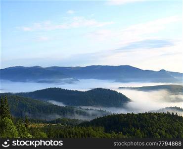misty valley in the wooded mountains