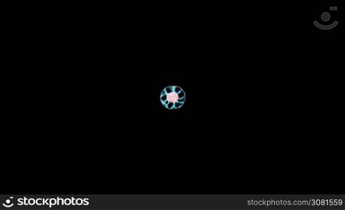 Mitosis, The Process Of Cell Division And Multiplication On Black Background