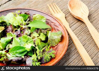 Mix fresh leaves for detox salad.Green salad.Clean eating.Dieting. Fresh green salad