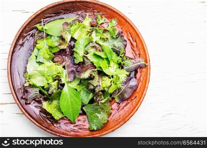 Mix fresh leaves for detox salad.Green salad.Clean eating.Dieting. Green vegan salad