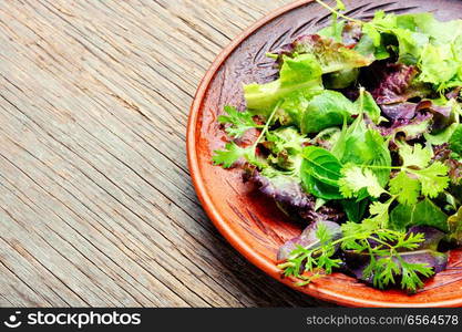 Mix fresh leaves for detox salad.Green salad.Clean eating. Green vegan salad