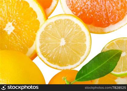Mix of citrus slice isolated on white
