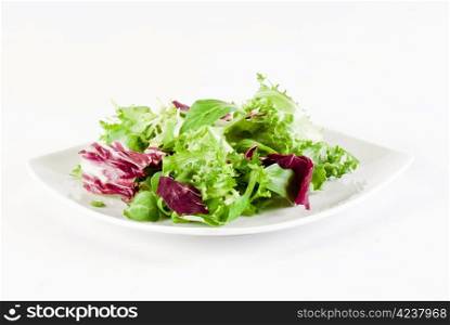 Mix of crisp and sweet lettuce leaves on white background