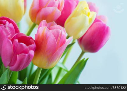 Mix of tulips flowers