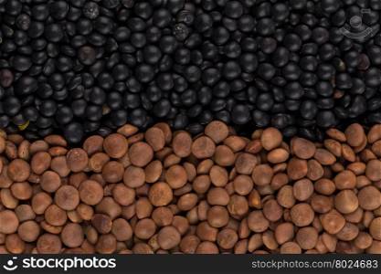 Mix of various color legumes lentils for background