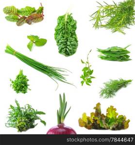 Mix organic salad leaves and salad onion springs