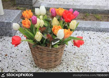 Mixed colored tulip bouquet in a wicker basket