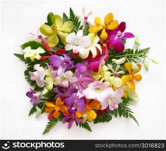 Mixed flower arrangement. Various orchid flowers in different colors on white background.