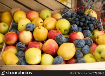Mixed fruits background. Fresh fruits.Healthy eating, dieting.