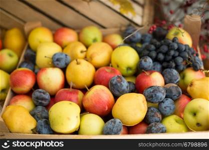 Mixed fruits background. Fresh fruits.Healthy eating, dieting.
