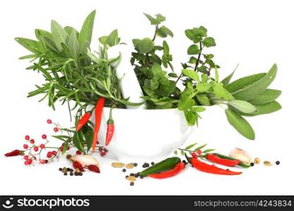 Mixed herbs of sage, rosemary, basil with red hot peper in mortar with pestle on white background