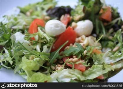 Mixed mozzarella tomato salad