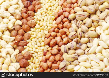 mixed nuts on a background