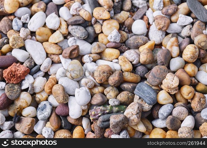 Mixed of multi-color of pebble stones in different size background. Closeup, Top view.